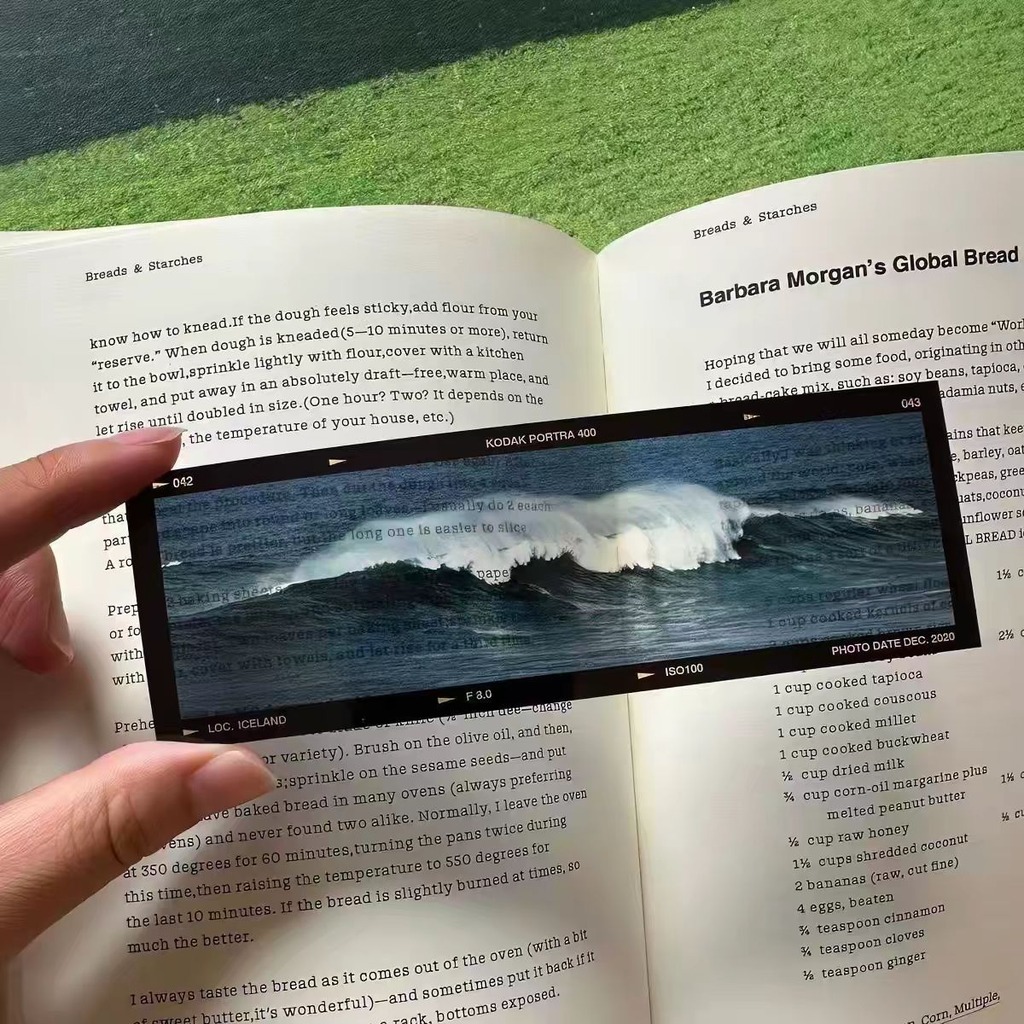 Sea'S Memoirs Ocean Theme Film - Dried Flower Bookmark 评论和价格