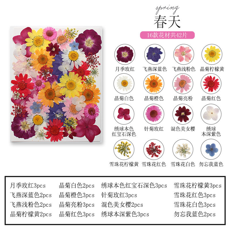 Natural Plant Flower and Leaf  - Dried Flower Bookmark 评论和价格
