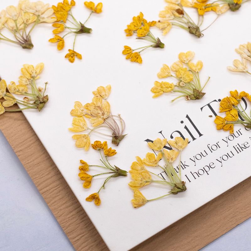 24pcs,Natural Real Pressed Flo - Dried Flower Bookmark 评论和价格